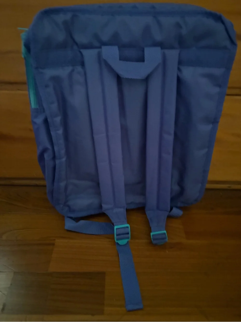 90s original Sanrio Pochacco Clear Front Backpack